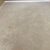 Tempe, AZ: Carpet Cleaning