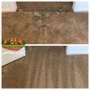Tempe, AZ: Carpet Repair