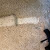 Dog-Damaged Carpet Repair in Tempe: Seamless Carpet-to-Tile Fix