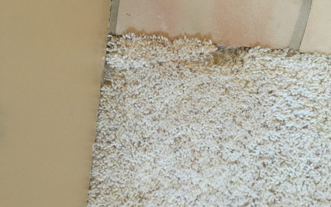 Scottsdale, AZ: Small Carpet Repair
