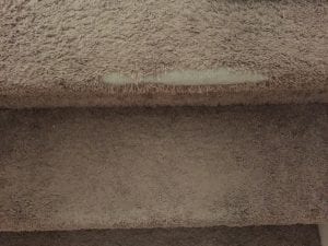 Carpet Repair