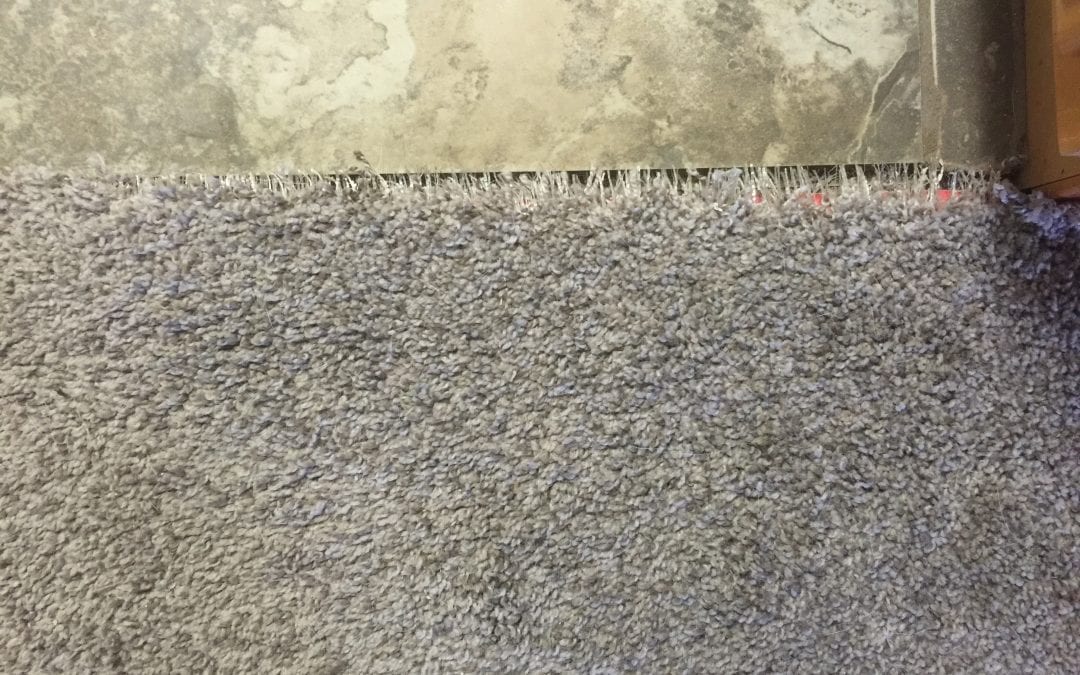 Peoria, AZ: Carpet Repair in the West Valley