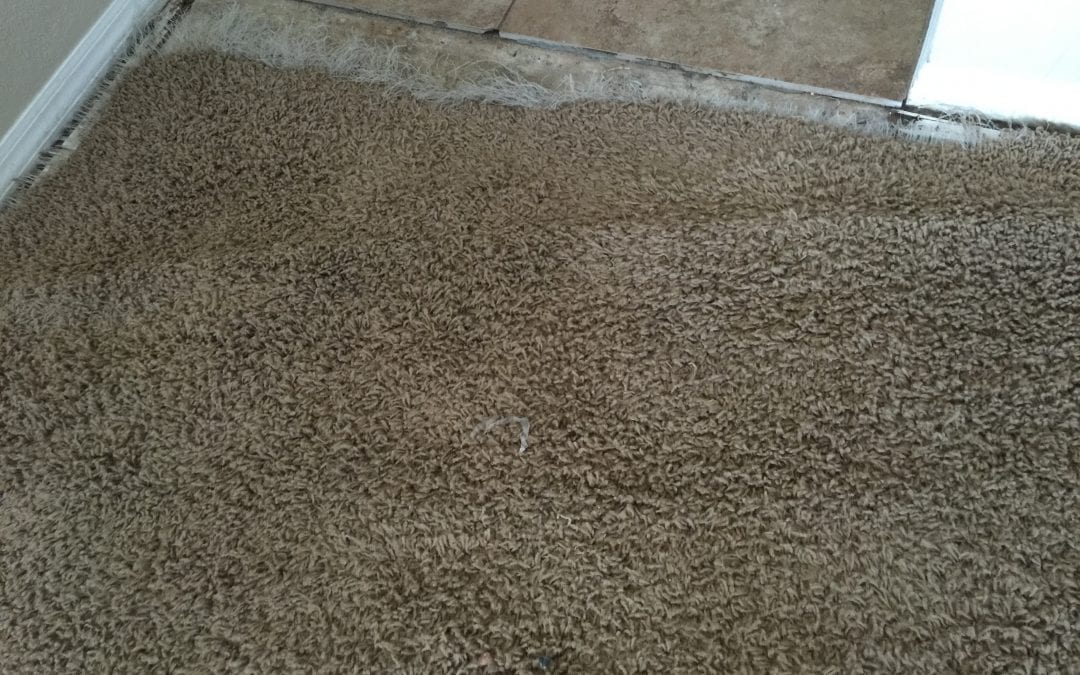 Repairing Carpet to Tile Transitions in Mesa, AZ