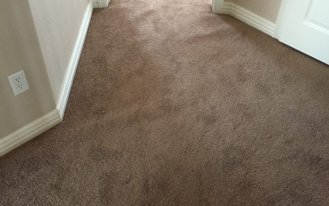 Carpet Stretching: Fixing Carpet Ripples in Phoenix, AZ